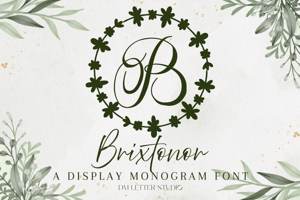 Brixtonor Monogram