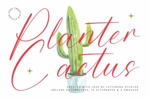 Related font Planter Cactus VERSION
