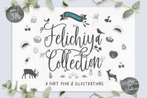 Felichiya Collection