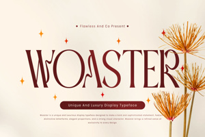 Related font WOASTER