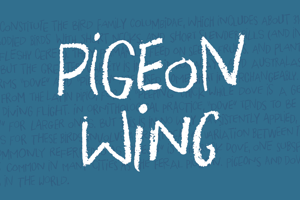 Pigeon Wing DEMO