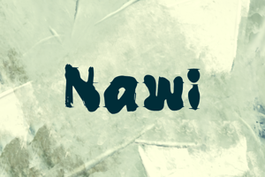 Related font n Nawi