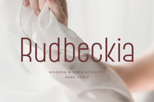 Rudbeckia