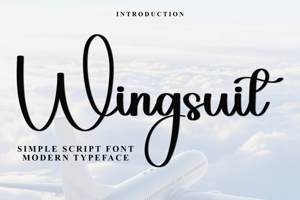 Wingsuit