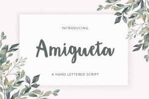 Amigueta script