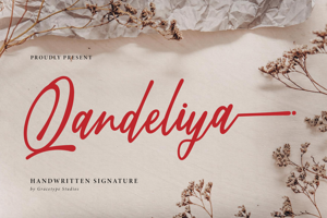 Related font Qandeliya