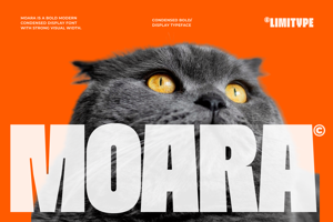Related font Moara - Bold Condensed Font