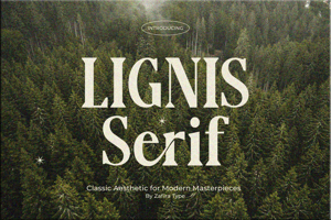 Related font Lignis