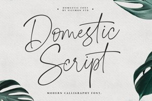Domestic Script