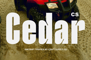 Related font CS Cedar