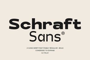 Schraft Sans Font Family