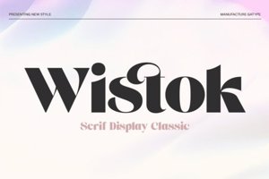 Wistok Display