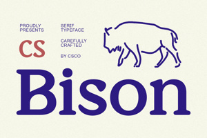 CS Bison