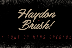 Haydon Brush