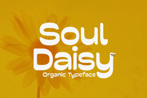 Soul Daisy