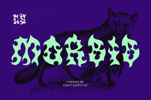 Related font CS Morbid