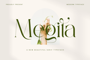 Related font Megita