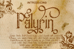 Related font Palyrin