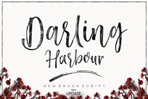 Darling Harbour Brush