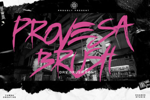 Related font Provesa