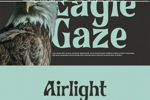 Related font Bronze Stone