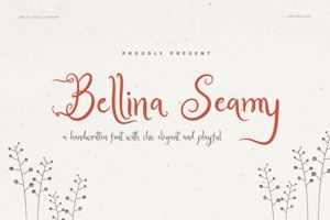 Bellina Seamy