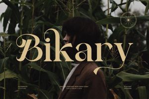 Related font Bikary