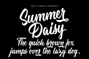 Summer Daisy