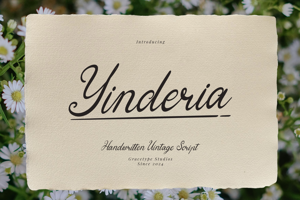 Related font Yinderia