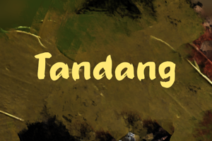 Related font t Tandang