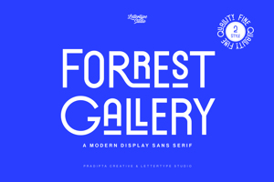 Forrest Gallery