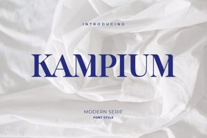 Related font Kampium Capital Professional