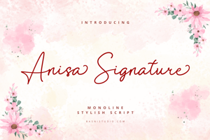 Anisa Signature