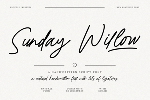 Related font RT Sunday Willow