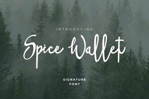 Related font Spice Wallet Connected Style