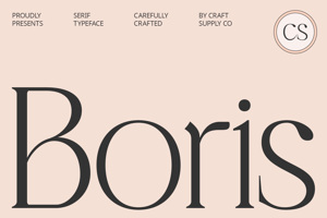 Related font CS Boris