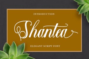 Shantea Script
