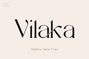 Vilaki Modern Serif