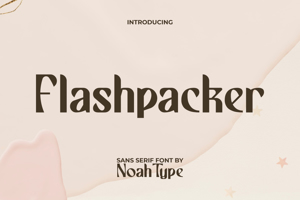 Flashpacker