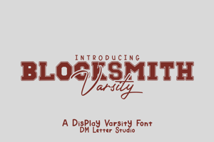Blocksmith Varsity