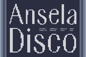 Ansela Disco