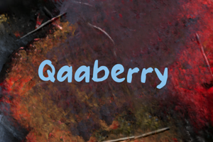Related font Qaaberry