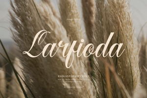 Related font Larfioda