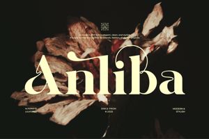 Related font Anliba