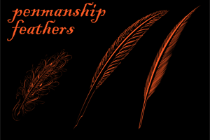 Penmanship Feathers