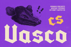Related font CS Vasco