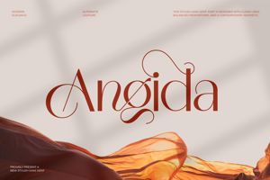Related font Angida