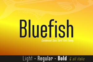 Bluefish Demo