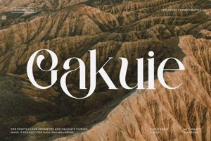 Related font Gakuie