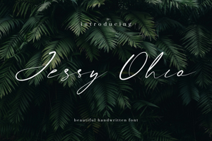 Related font Jessy Ohio